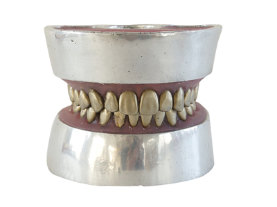 HST-E11 Metal Teeth Extraction Model