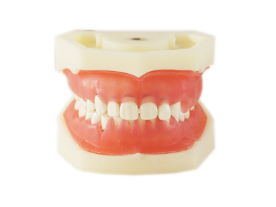 HST-L5 Peridontal Disease Model